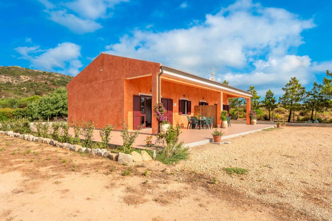 Gli Ulivi - La Zirichelta Holiday home